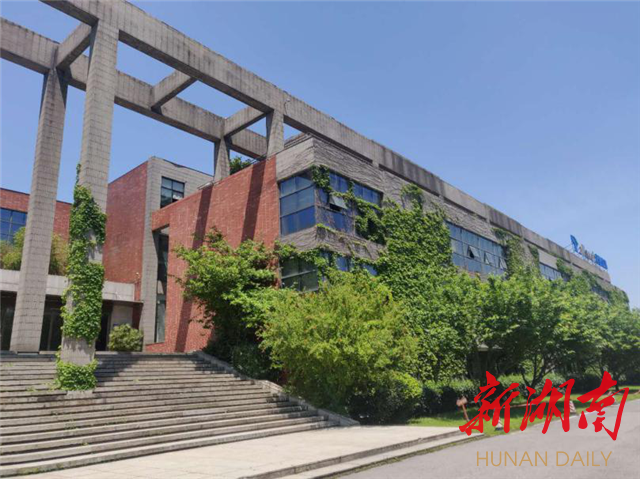 长沙观察③丨软件业再出发,鲲鹏入湘带来新机遇