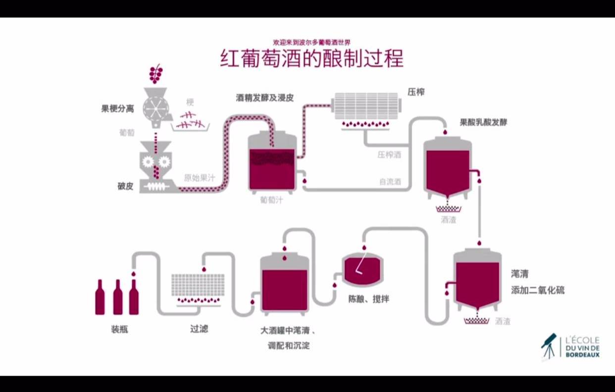 重磅消息:卖酒人必备的葡萄酒APP问世了