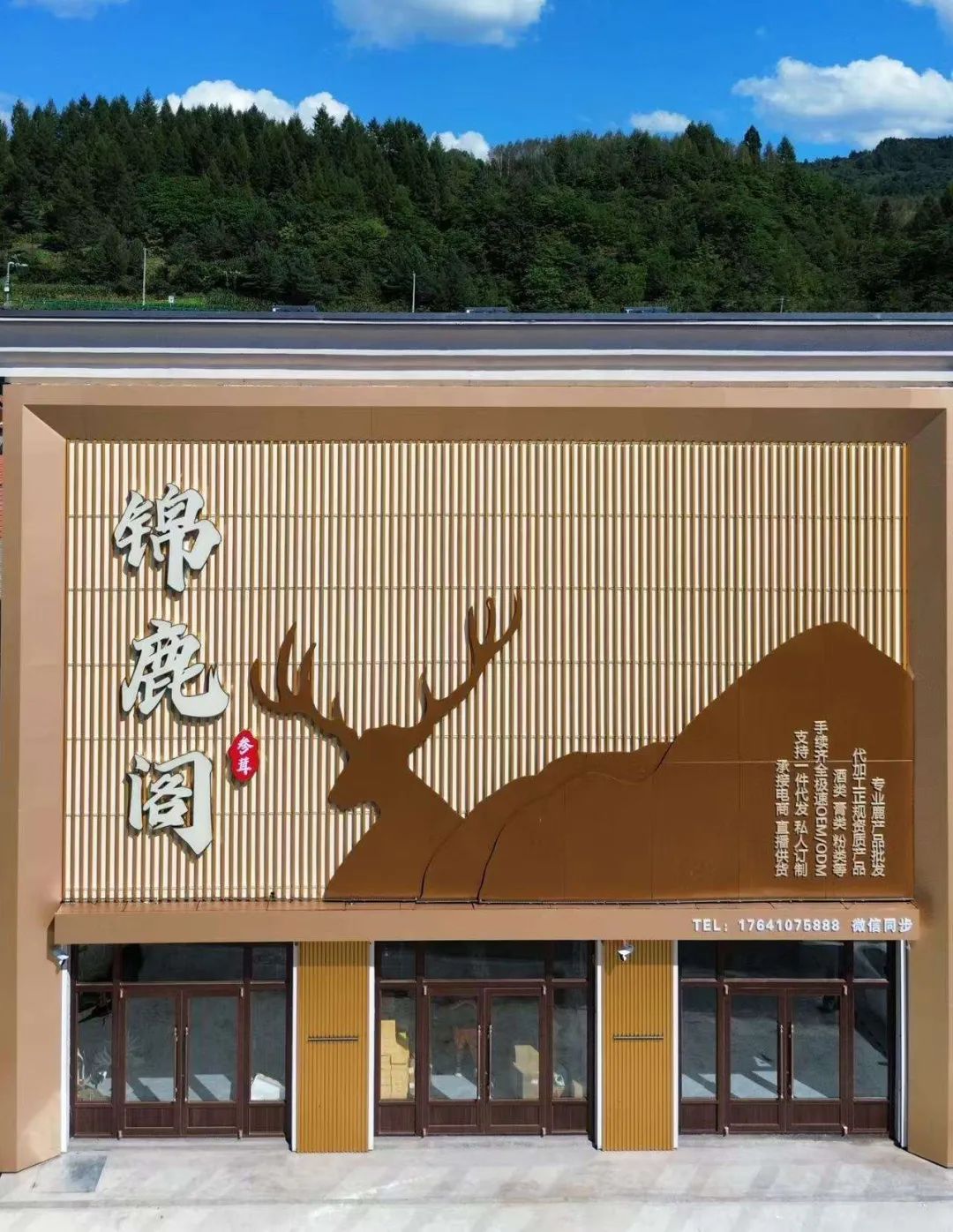 11月19日求职招聘与教育行业最新动态及机会
