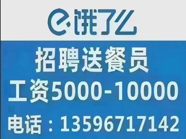 11月19日求职招聘与教育行业最新动态及机会