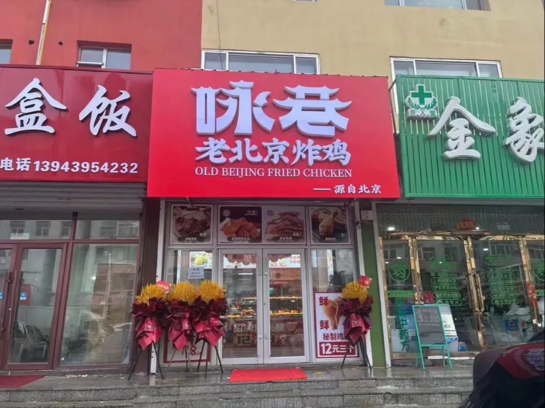 11月19日求职招聘与教育行业最新动态及机会