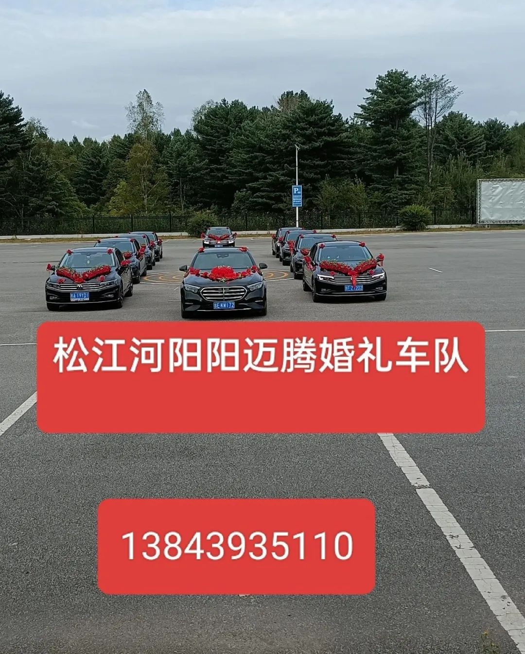 11月19日求职招聘与教育行业最新动态及机会