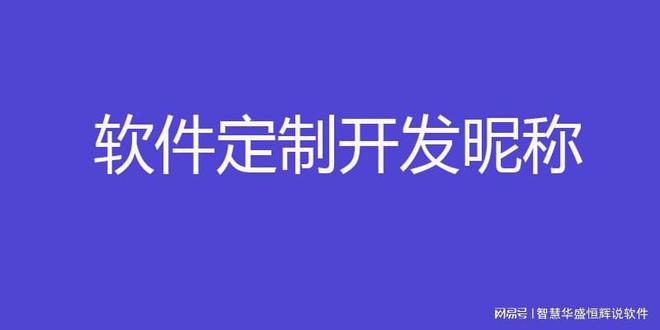 国内最大软件外包公司排名及行业领先企业分析