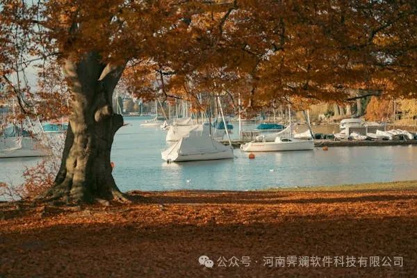 淘宝客App软件开发:助力创业者轻松搭建独立系统,实现电商梦想