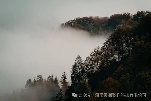 淘客APP开发全攻略:成本分析、制作流程详解与成功秘诀揭秘