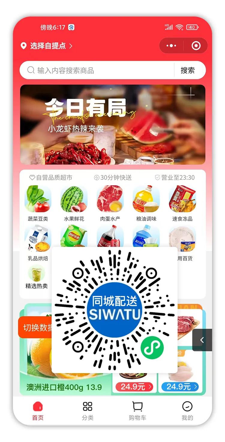 揭秘软件公司如何成功开发国外小程序的完整流程与策略