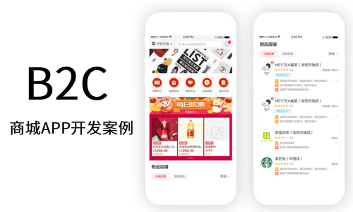 手机商城开发全攻略:从设计到上线一站式解决方案