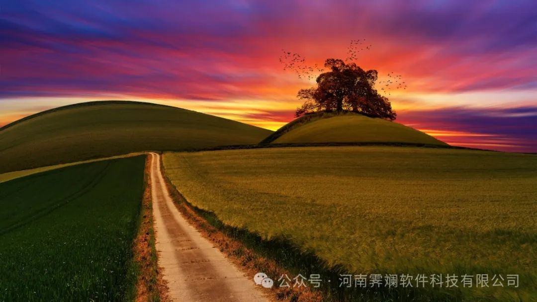 创业秘籍:独立系统搭建与定制开发,助你业务脱颖而出