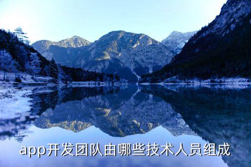 app开发团队由哪些技术人员组成