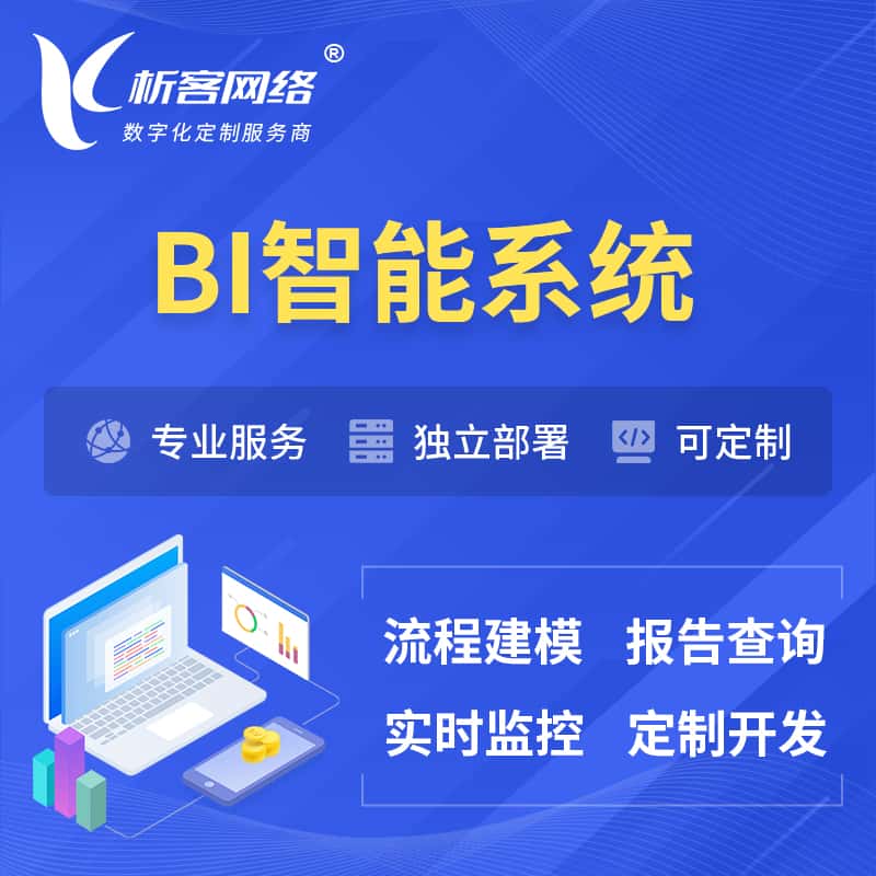 昭通BI智能系统 | BI数据可视化