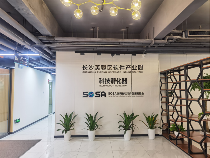 长沙曼哈顿软件企业聚集,楼宇间筑巢下金蛋的繁荣景象