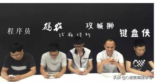 程序员独立开发 vs 公司上班:揭秘为何选择职场而非单干的真相