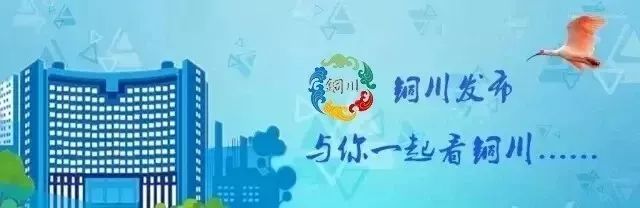 铜川高质量发展步履铿锵:转型升级谱写新篇章,推动经济持续向好