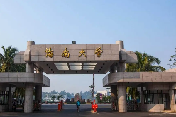 海南大学软件工程niit就业情况如何?好就业吗?