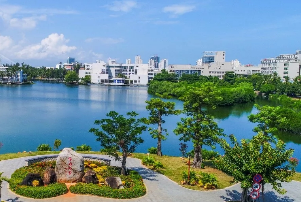 海南大学软件工程niit就业情况如何?好就业吗?