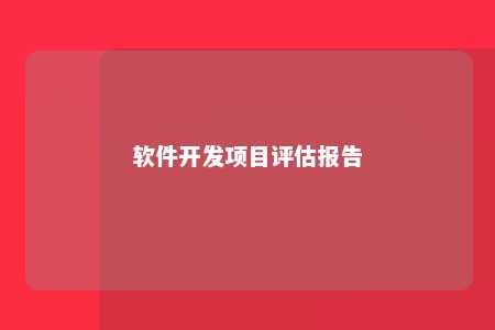 软件开发项目评估报告