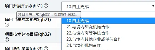 高企必看：火炬系统年报填写全攻略，轻松搞定年报提交