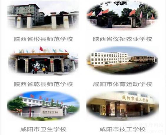 咸阳职院多元化机制与特色化模式探索:厚德强能,育人惠民新篇章