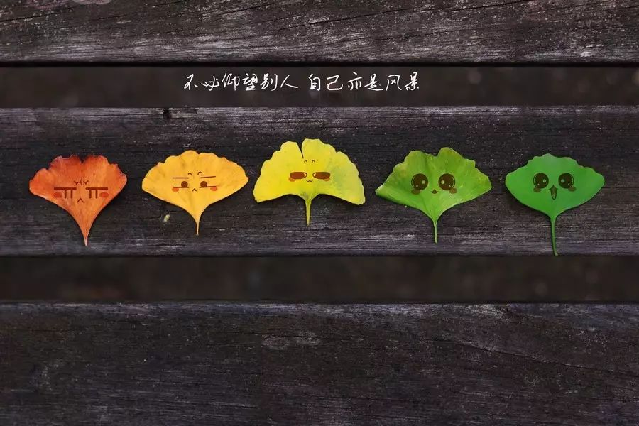 从程序员到产品经理再到创业:一位IT从业者的心路历程分享