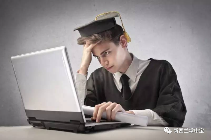 如何成为新西兰紧缺软件工程师?专业指南与职业发展路径