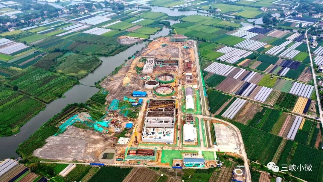 三峡集团:从开发长江到保护长江,探索可持续发展新路径