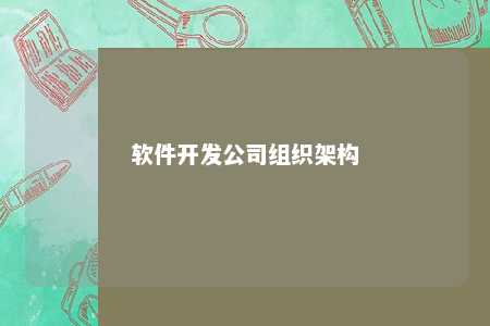 软件开发公司组织架构