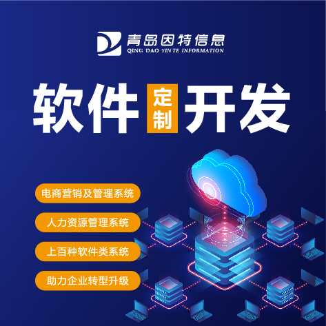 定制开发智慧城市系统软件
