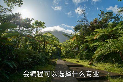 会编程可以选择什么专业