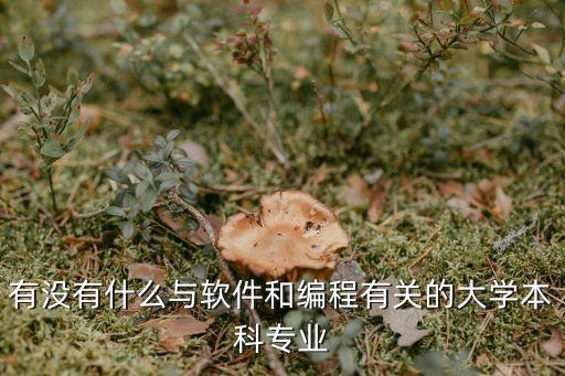 有没有什么与软件和编程有关的大学本科专业
