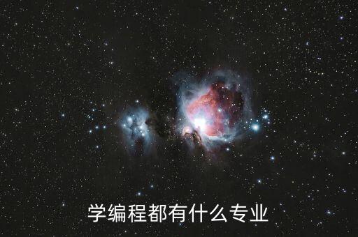 学编程都有什么专业