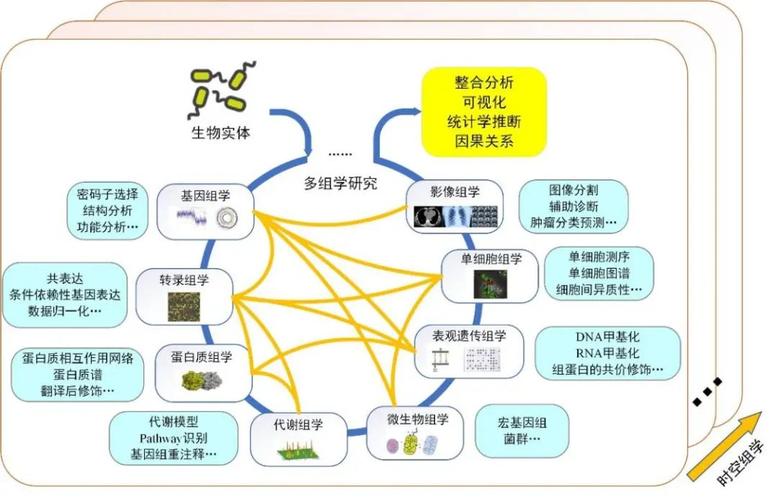 生物信息学算法:融合多学科知识,助力生物学研究及多领域发展