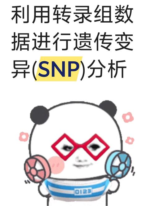 基因组分析:从数据获取到质控,探秘生物遗传核心力量