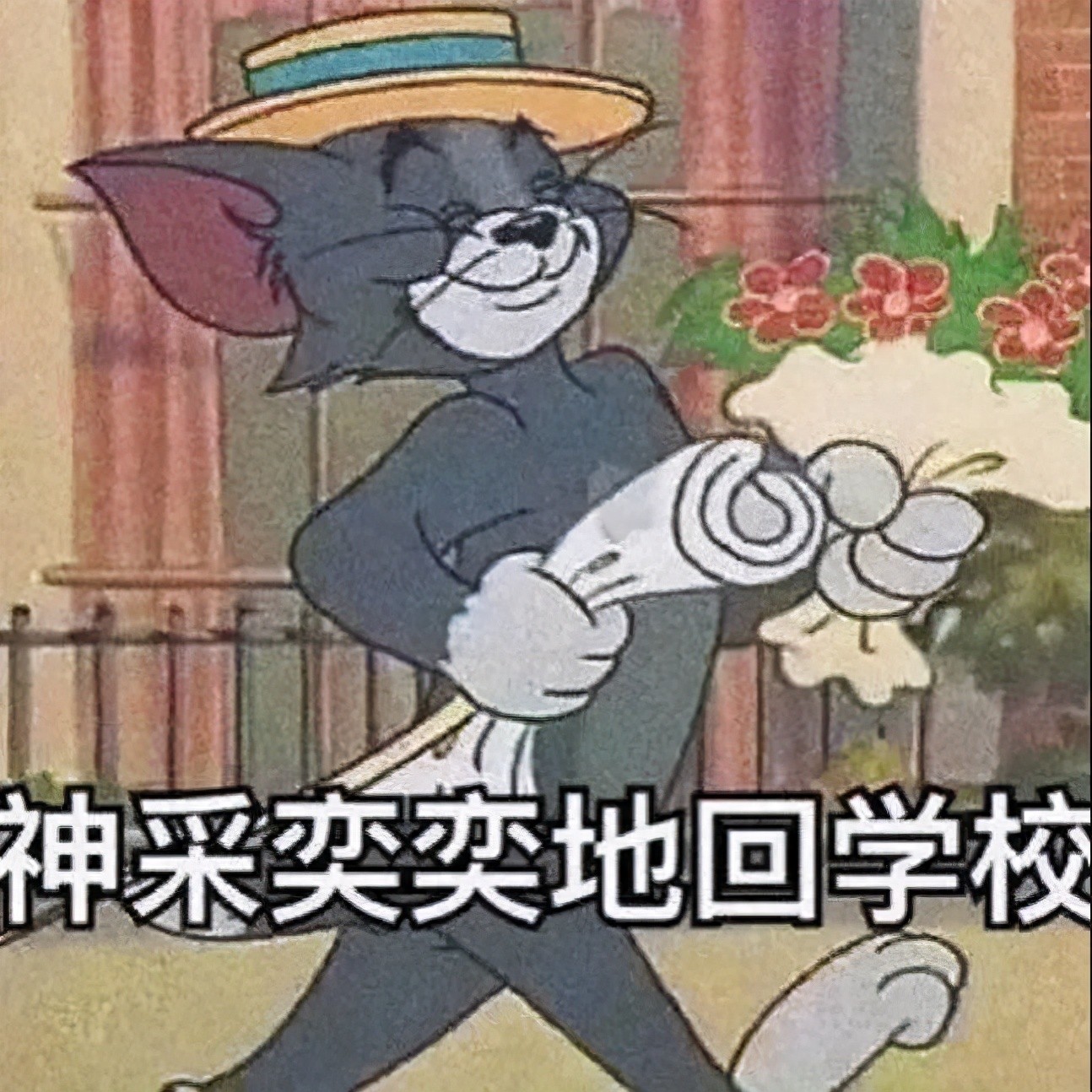揭秘程序员阅读电视源码的技巧 电视源码论坛经验分享