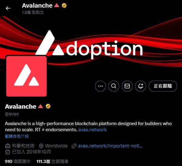 Avalanche子网开发实战:AVAX币购买及雪崩协议技术详解