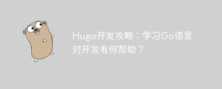 hugo开发攻略:学习go语言对开发有何帮助?